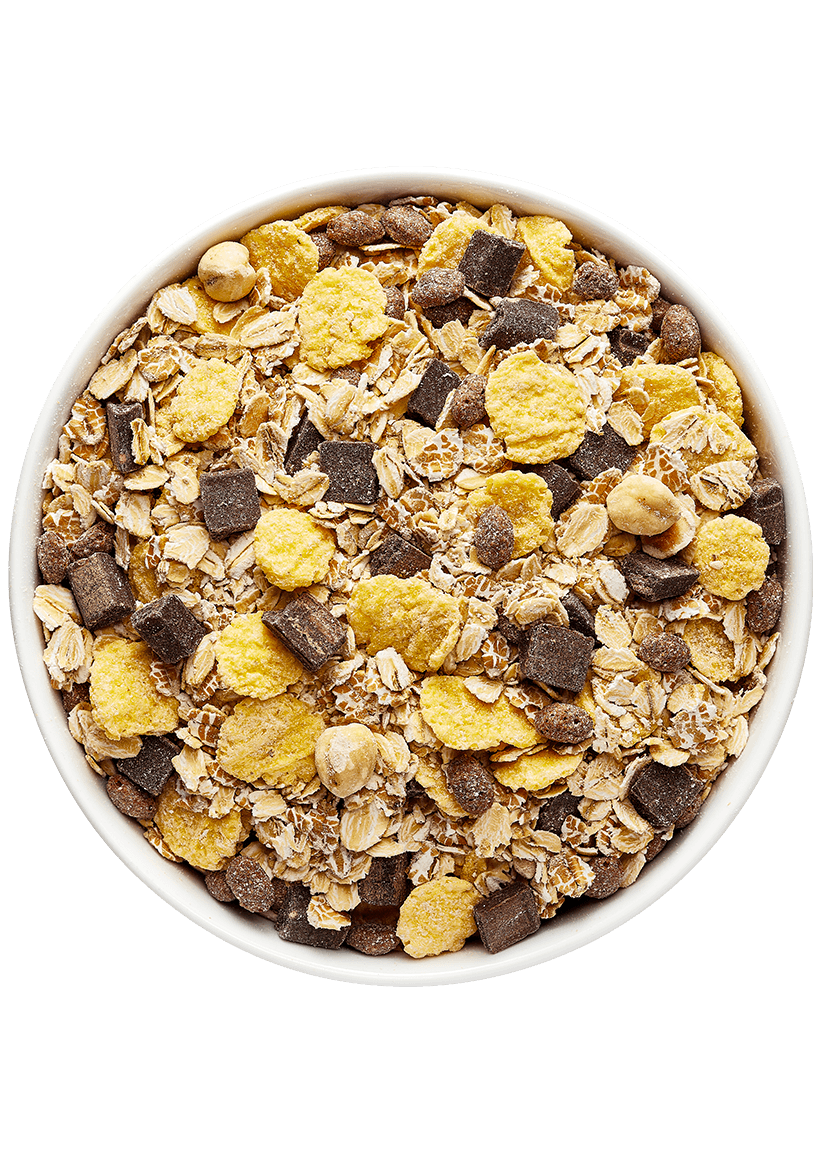 VRAC Muesli chocolat noir 5kg Grillon d'Or